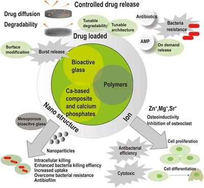 Current application and future perspectives of antimicrobial degradable bone substitutes for chronic osteomyelitis